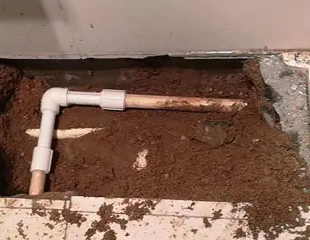 松滋测漏水哪家好