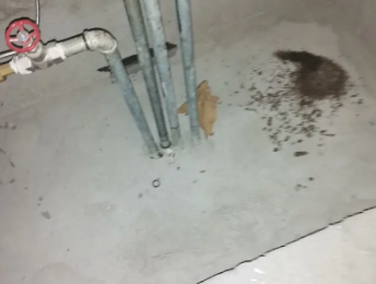 松滋卫生间测漏水价格明细